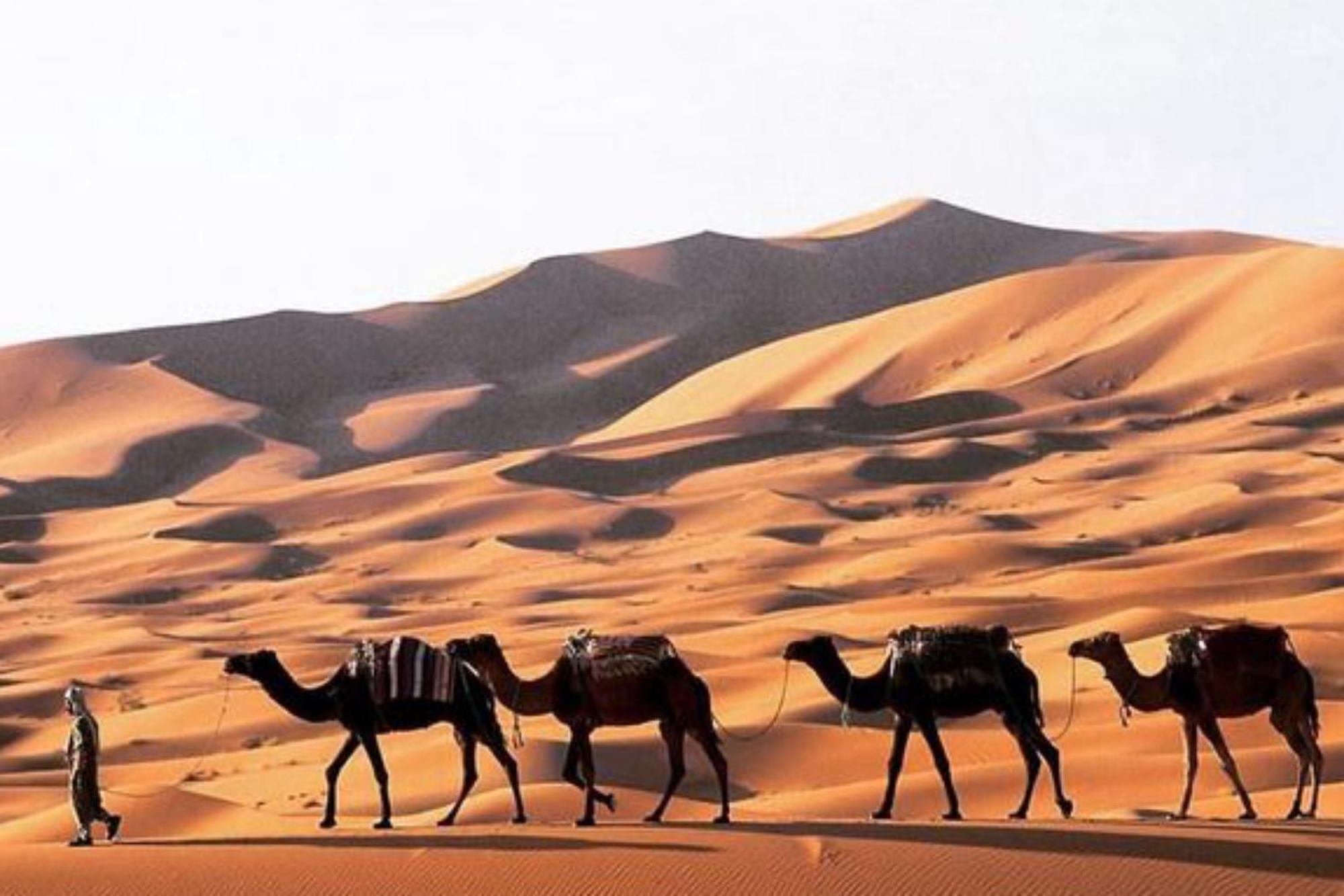 Luxury Merzouga Desert Camp Exterior foto